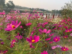 -东郊湿地公园
