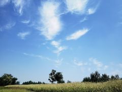 -汉长安城未央宫国家考古遗址公园