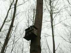 -合肥滨湖国家森林公园