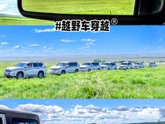 -呼伦贝尔大草原