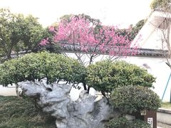 -无锡梅园公园