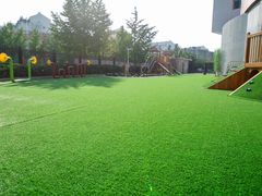 -禾光幼儿园(朝阳校区)