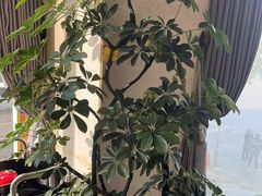 -粤珍轩.创始店.始于2001(含光门店)