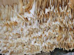 -海勤盛海味干货市场