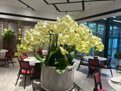 -富淳饭店(陆家嘴保利广场店)