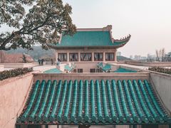 -武汉大学-樱园