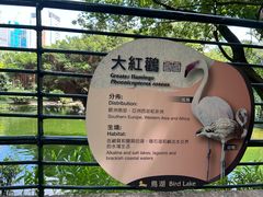 -九龙公园
