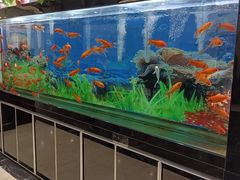 -张刚餐饮(春晓馨苑店)