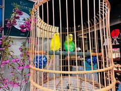 -淮扬府·游园京梦(北京SKP店)