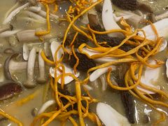 -草墩罗非鱼庄•野生菌•腊排骨(七星街上段店)