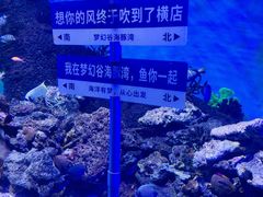 -横店影视城梦幻谷园区