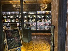 -雪灵魔法世界SHELLY’S TAROT(大良桂畔里店)