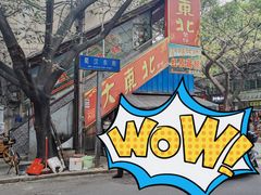 -大东北(武侯祠店)