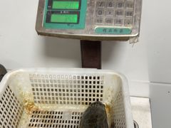 -都江堰石锅鱼