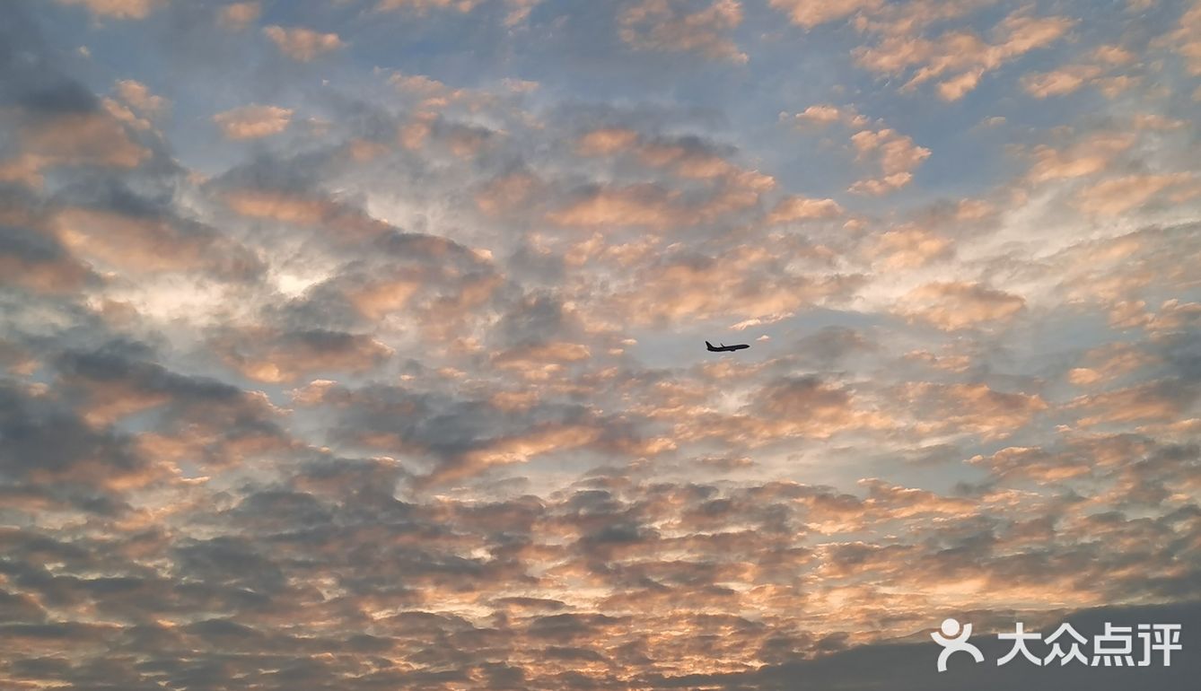 南山公园 日落🌅