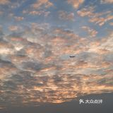 南山公园 日落🌅