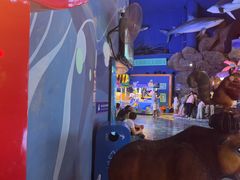 -烟台海昌鲸鲨海洋公园