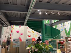 -绿壁虎攀岩基地(Tcar店)
