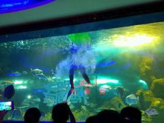 -大明湖海底世界