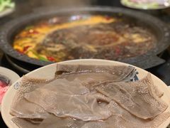 屠肠直供鲜极品毛肚-茅草房·河畔园林火锅