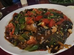 遇龙河剑骨鱼—阳朔特色啤酒鱼-生态苑农庄(十里画廊遇龙河店)