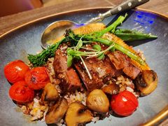 -bluefrog蓝蛙(石家庄欢乐汇店)