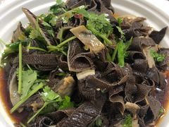 捞起黑牛柏叶-汇兴源餐馆(小北路店)