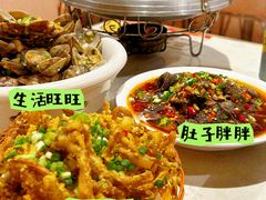 -辣四方新派川菜