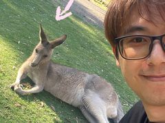 -可伦宾野生动物保护区