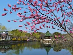 -无锡蠡湖国家湿地公园-蠡园