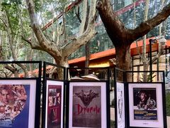 -西安电影制片厂