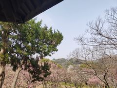 -无锡梅园公园