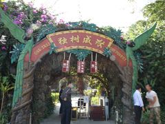 门面-瑞丽独树成林风景区