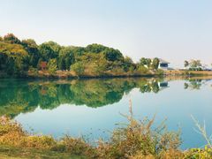 -金银湖国家城市湿地公园