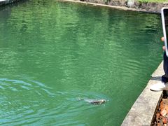 -宁波五龙潭景区