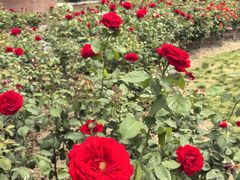 -上海交通大学(闵行校区)