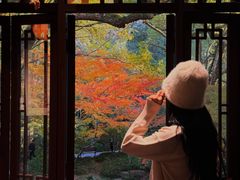 -中国茶叶博物馆(双峰馆区)