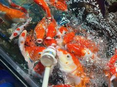 -太平洋海底世界