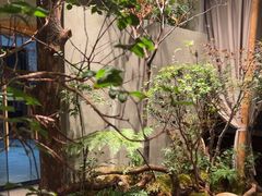 -森SPA·泰式按摩·精油Massage(宝安中心店)