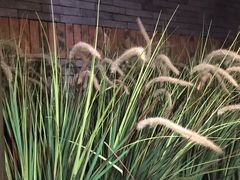 -同庆楼(金宝汇店)