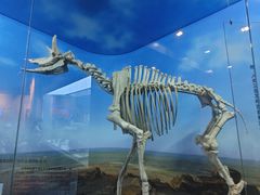 -国家自然博物馆