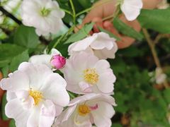 -欢乐迪KTV(南京夫子庙三山街店)