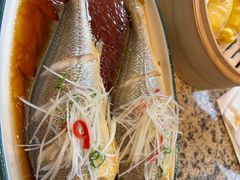 油泼大黄鱼-波螺油子青岛本帮菜(银座店)