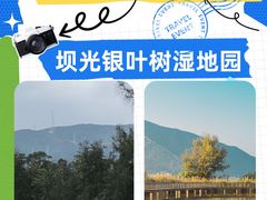 -深圳湾公园(南山区)