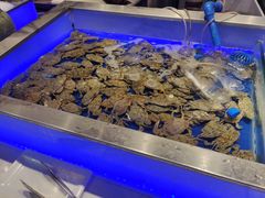 水产区-SEA西雅图海鲜自助餐厅(正义店)