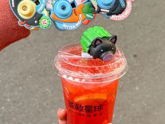 -茶救星球·蔬果茶(北京路旗舰店)