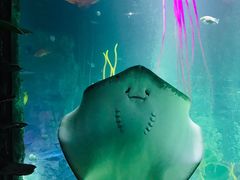 -沈阳海洋探索中心