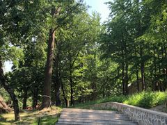 -阳台山自然风景区