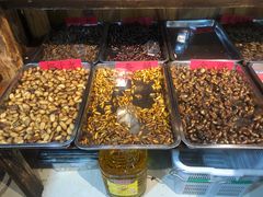 -昆虫窝子·特色云南菜(拓东路总店)