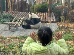 -大连森林动物园